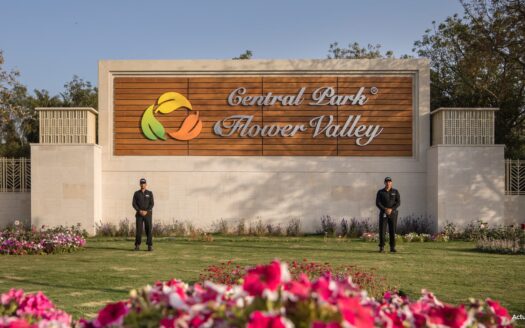 Central Park Flower Valley The Room